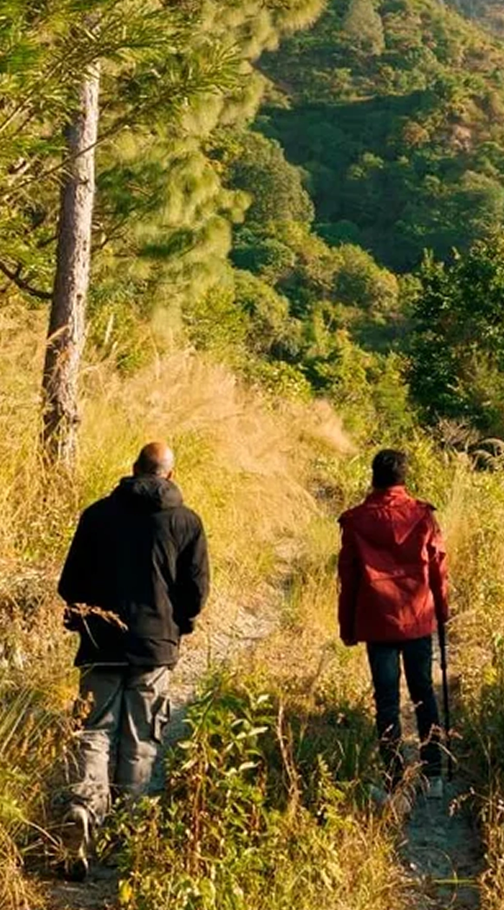 Nature Walks & Trails