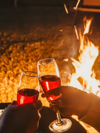 A toast by the bonfire at Willowdale, Naukuchiatal