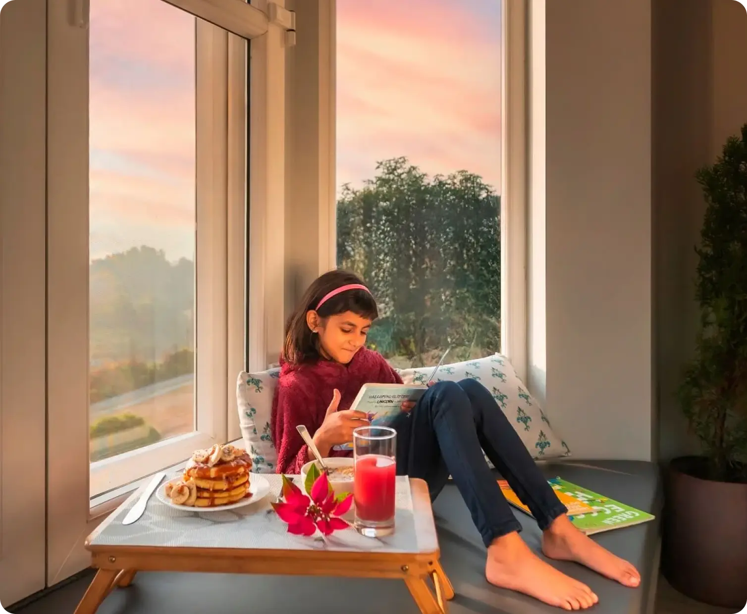 Quiet morning by the window at Willowdale, Naukuchiatal