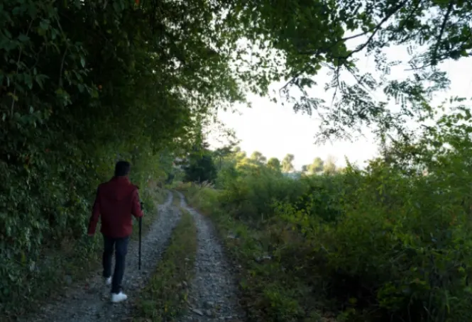 Jungle Treks, Willowdale Naukuchiatal