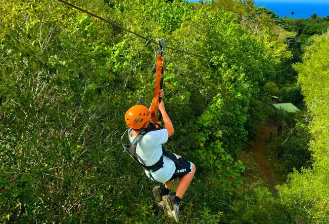 Zipline Runs, Willowdale Naukuchiatal