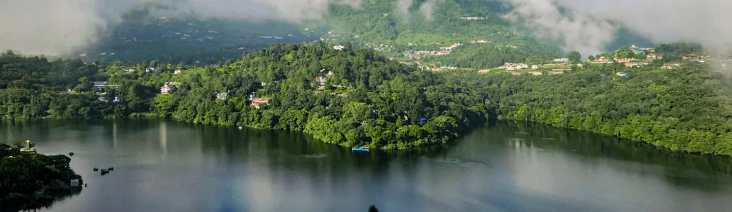 Villa veranda looking through pine trunks toward the lake in early morning mist, Willowdale Naukuchiatal