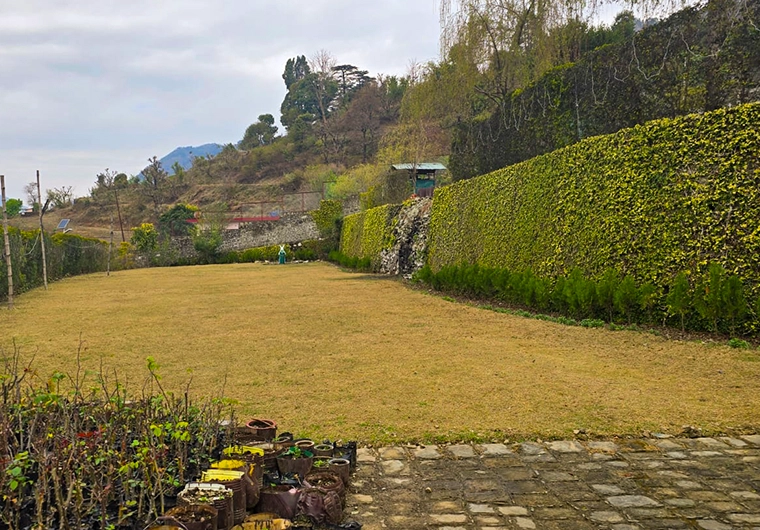 Green Serenity